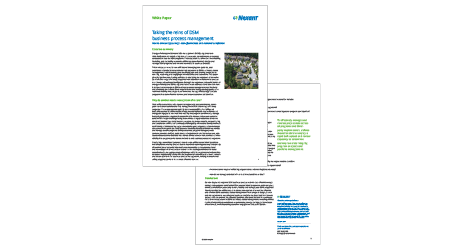 Taking The Reins of DSM Business Process Management